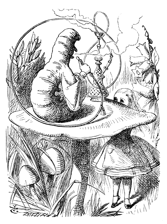 Alice and the Caterpillar, illustration by John Tenniel