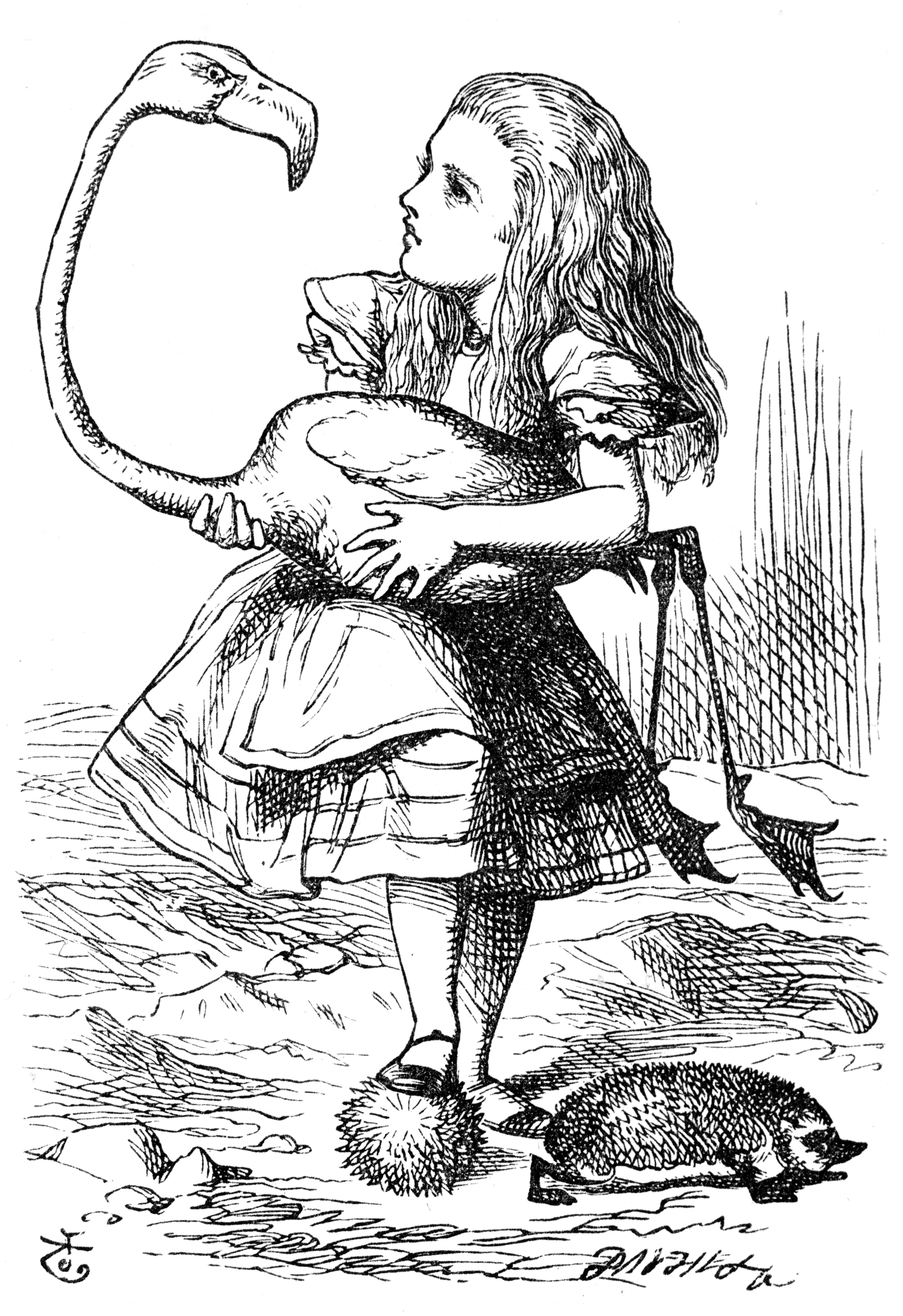 Alice playing croquet with a flamingo, illustration by John Tenniel