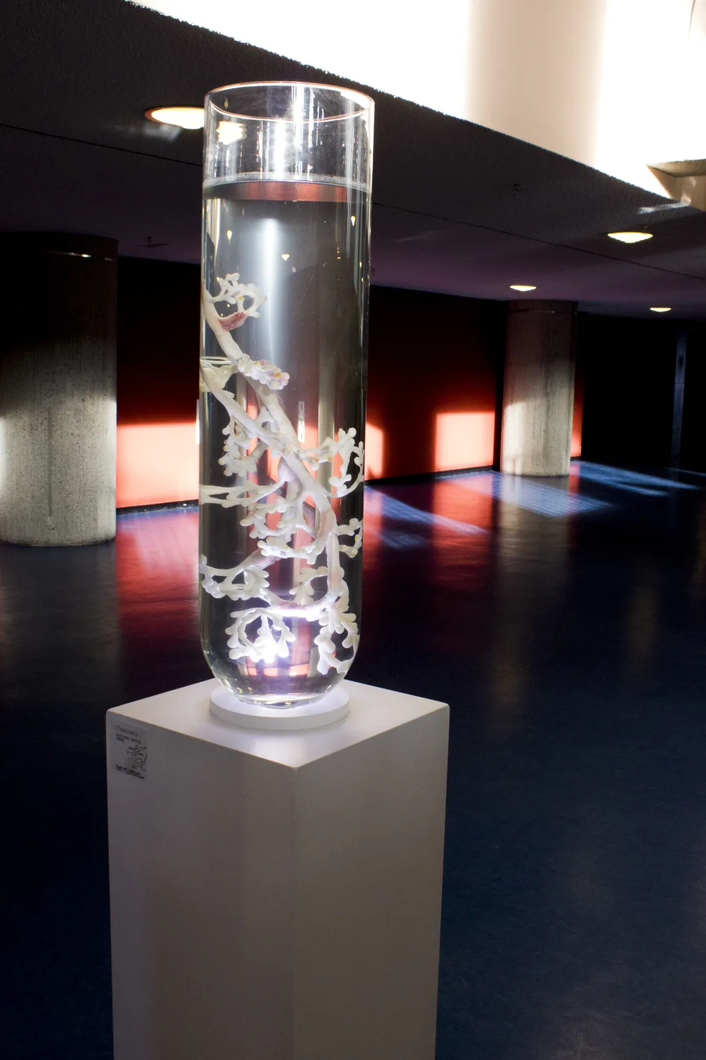Organisme spéculatif présenté dans l’installation An Ecosystem of Excess de Pinar Yoldas