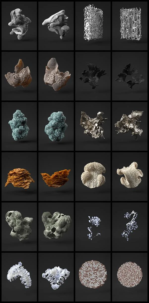 Études de formes et de matériaux du projet Wanderers de Neri Oxman et du groupe Mediated Matter
