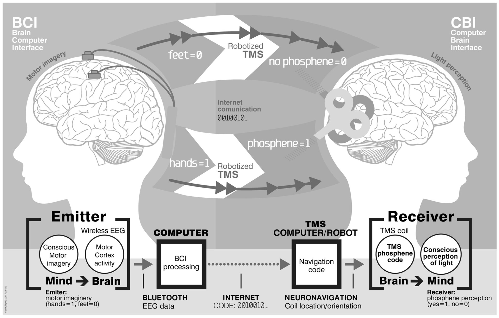 Diagram of a brain-to-brain interface linking EEG and magnetic stimulation