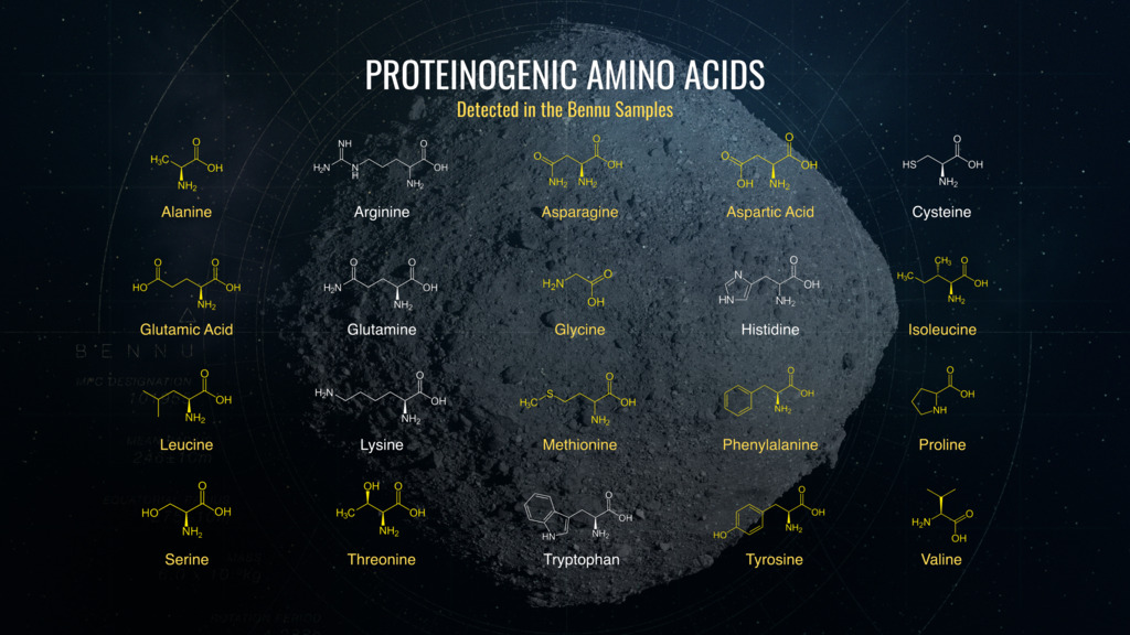 Bennu organic molecules