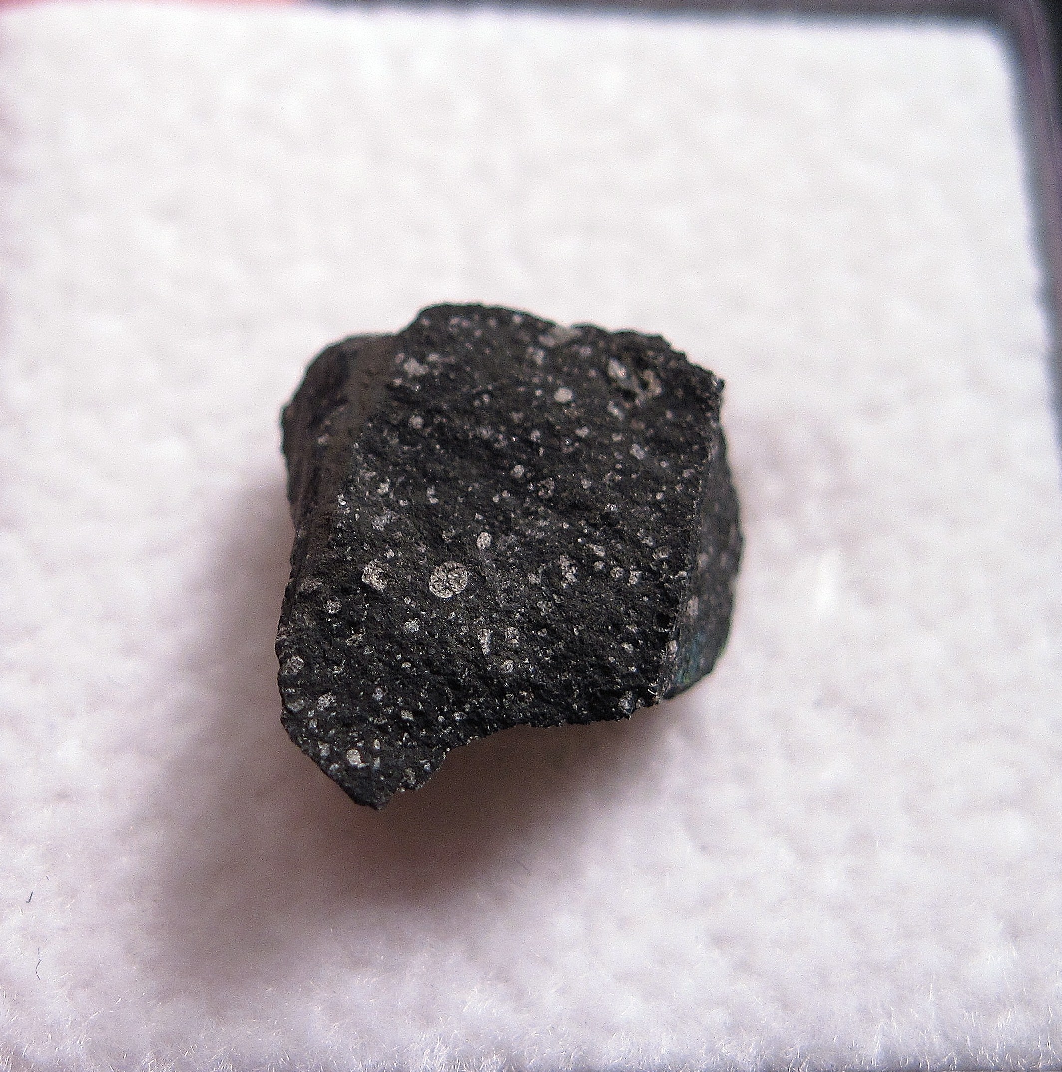 Murchison meteorite