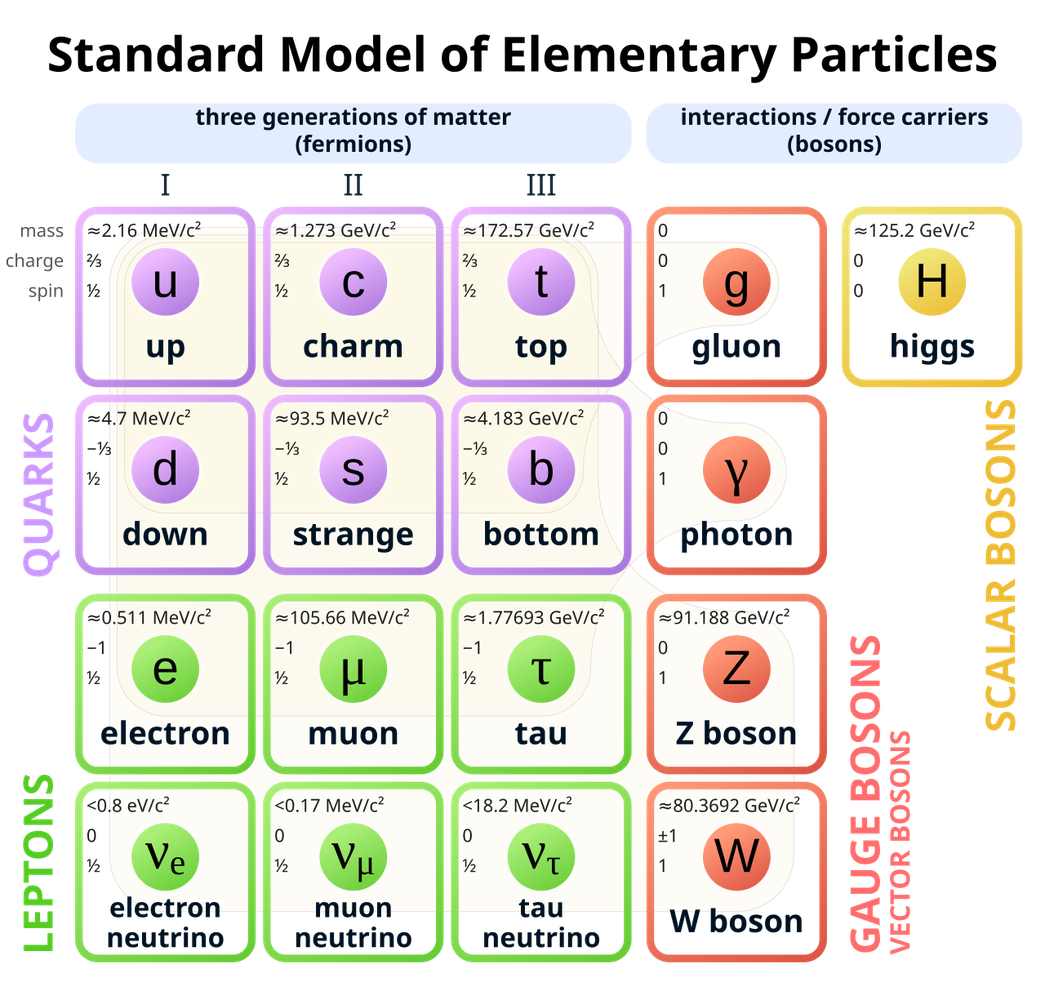 The neutrino in the Standard Model