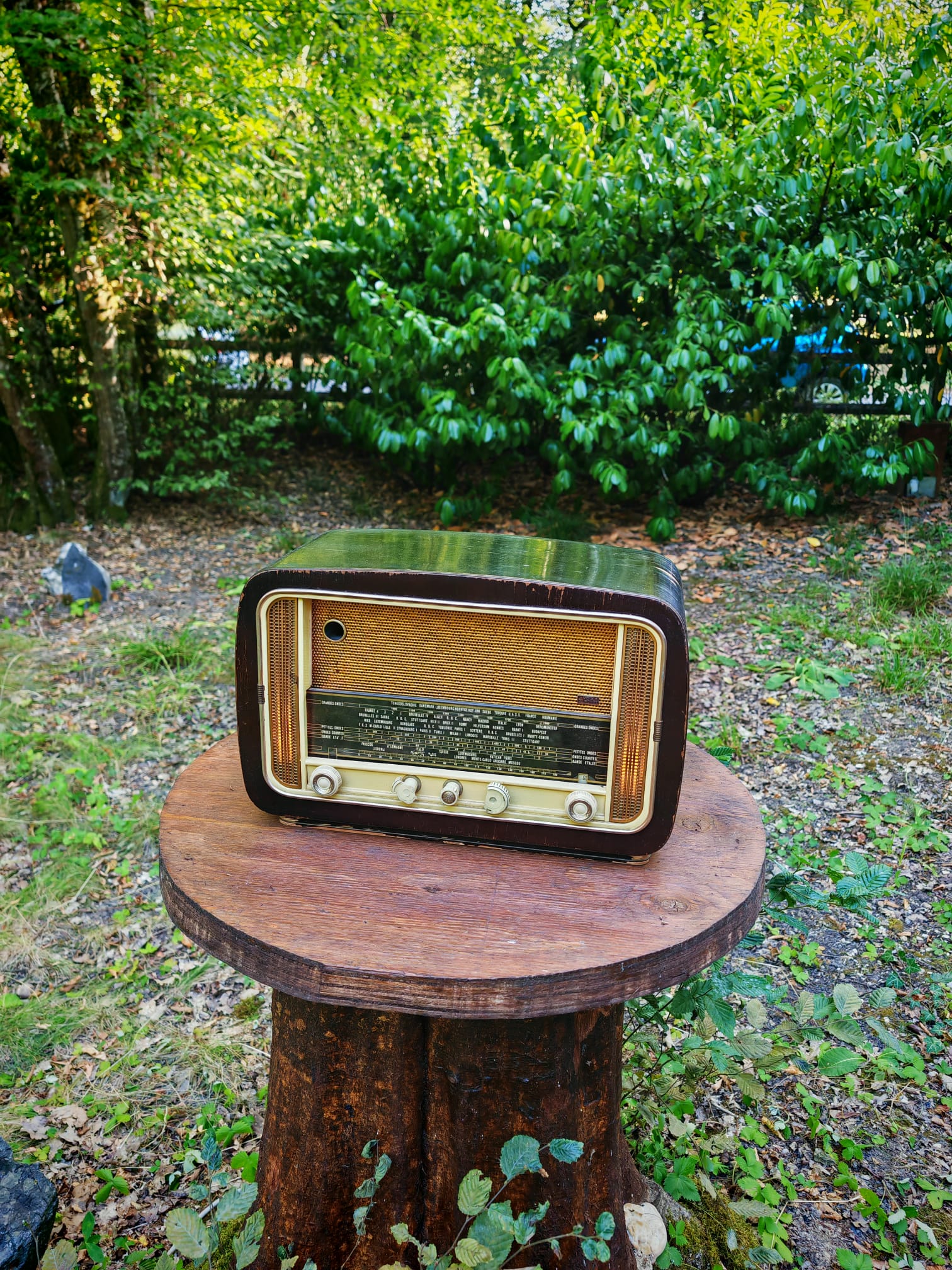 La radio ancienne du dispositif GUDEMON photographiée dans un jardin