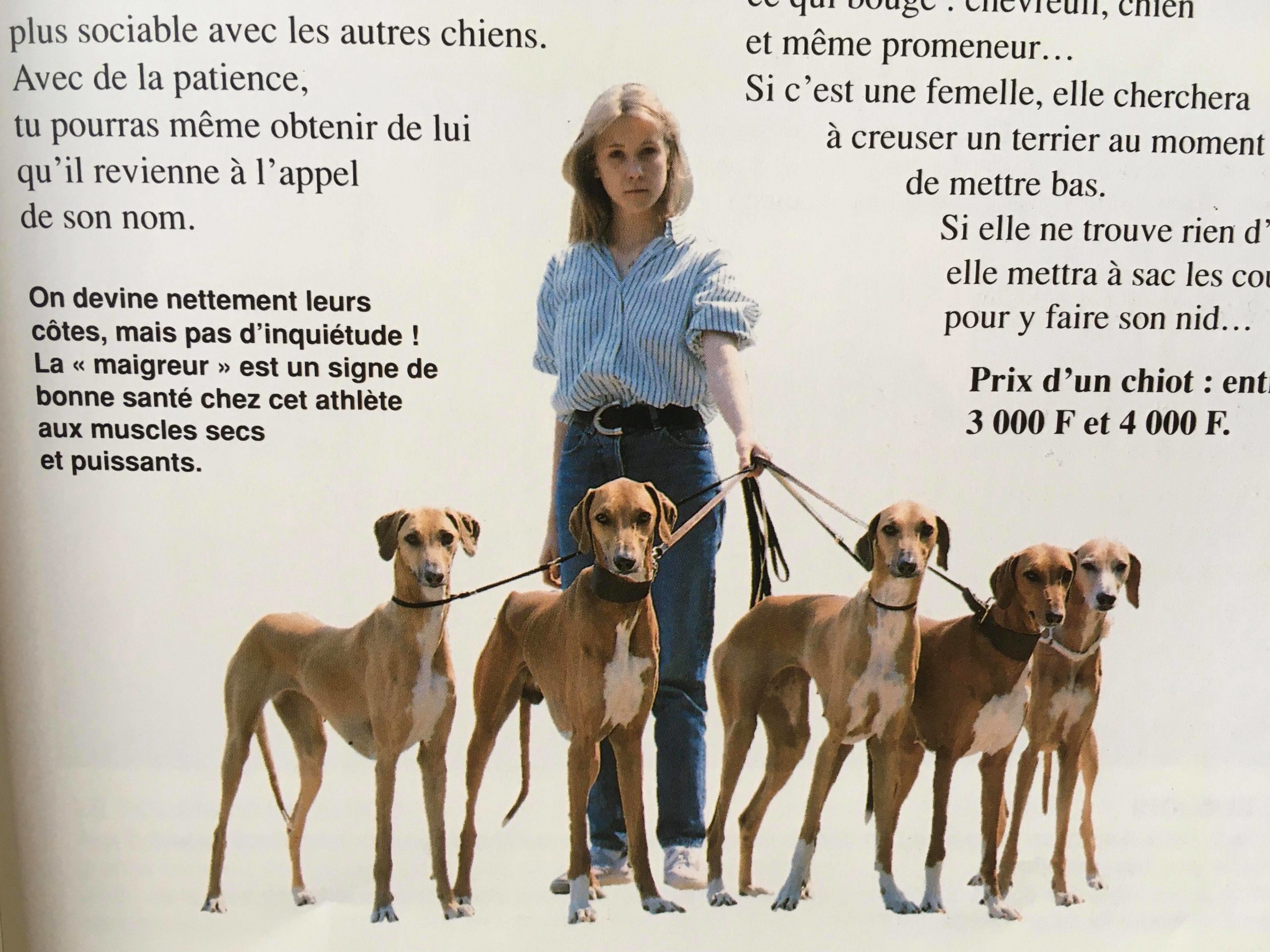 Le pitch