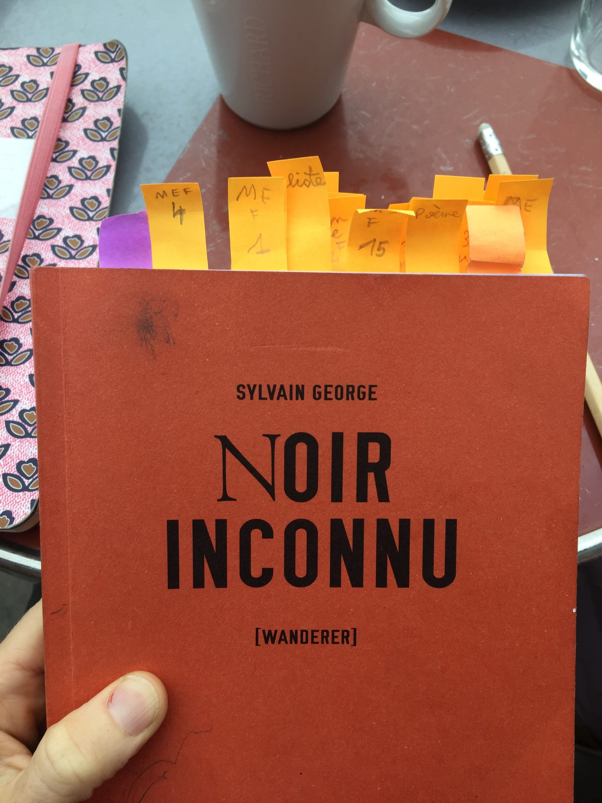 NOIR INCONNU, Wanderer - Les Lectures électriques