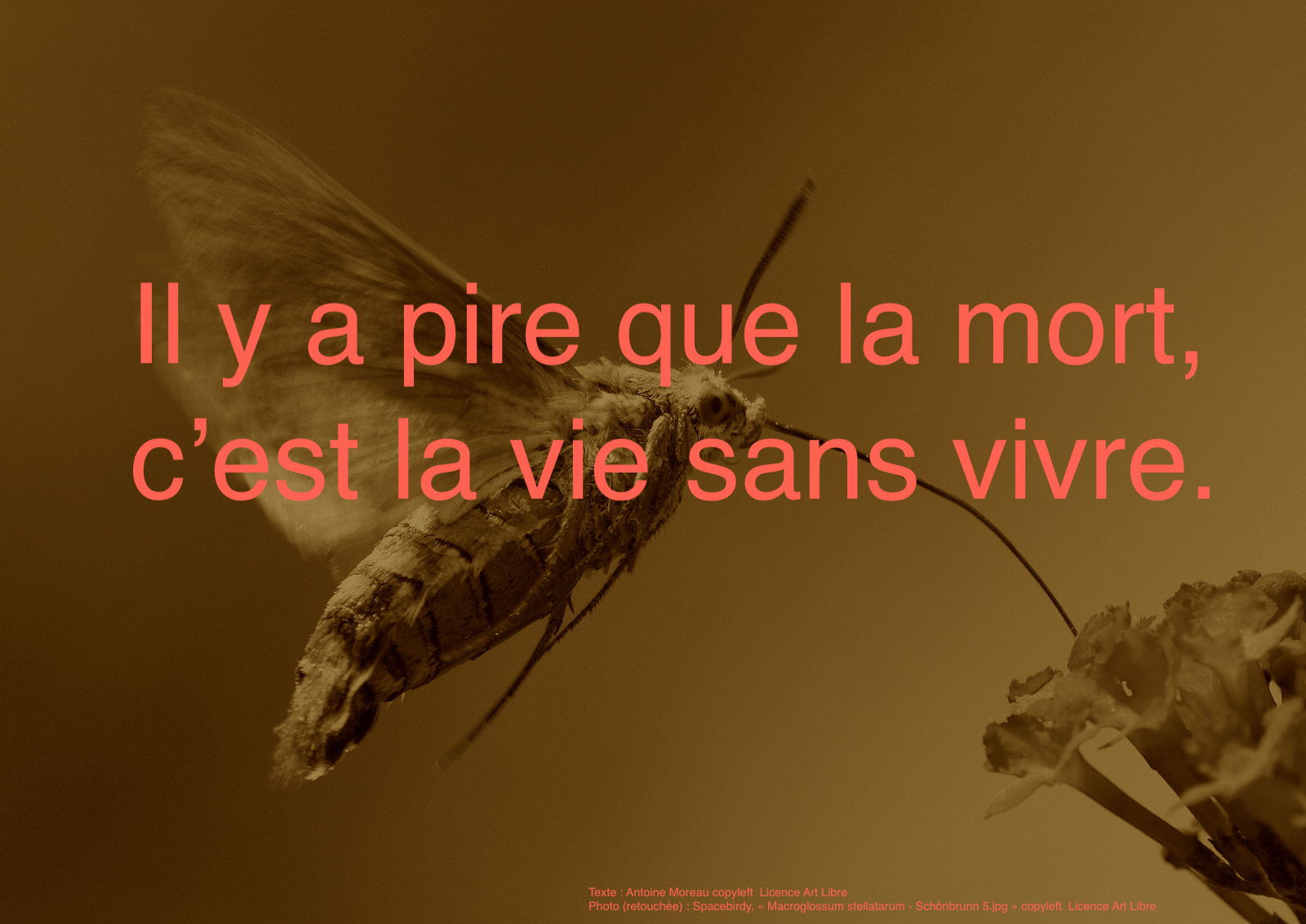 pire que la mort