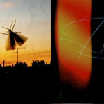 L'effet Papillon L'effet Papillon