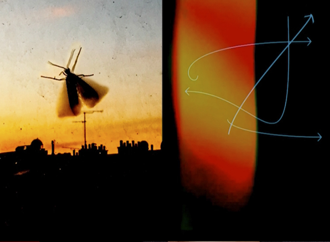 L’effet Papillon