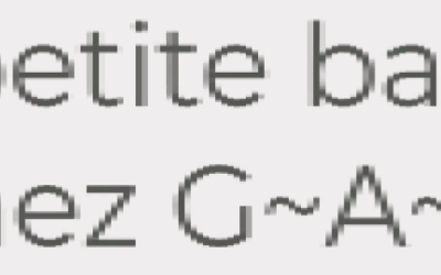 [incise / lancement de G~A~D]