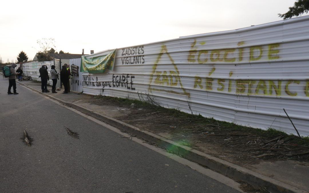 ZAD Triangle