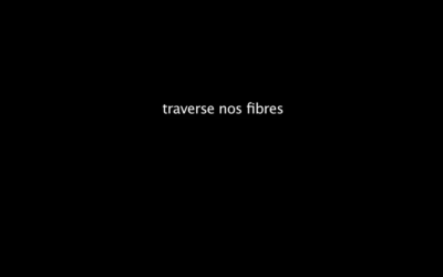 quelque chose calme lutte (chant X)