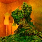 "Là où les arbres se cachent pour grandir" - écriture en cours "Là où les arbres se cachent pour grandir" - écriture en cours